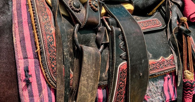 Détail d’une selle installée sur un cheval