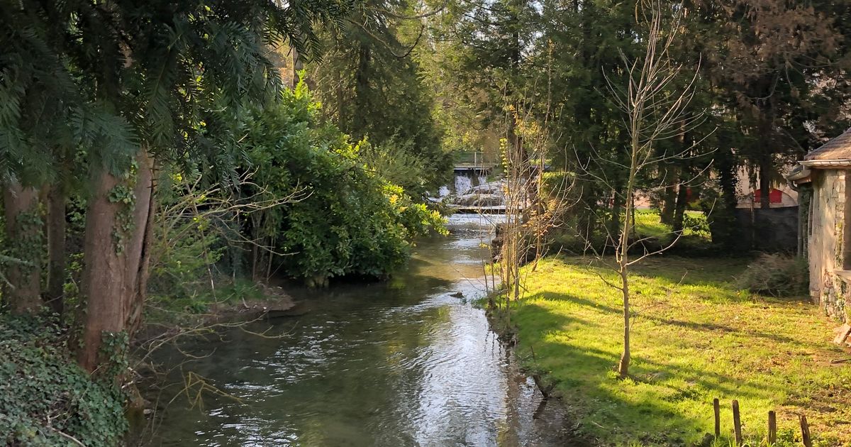 Paysage verdoyant de Bourgogne-Franche-Comté
