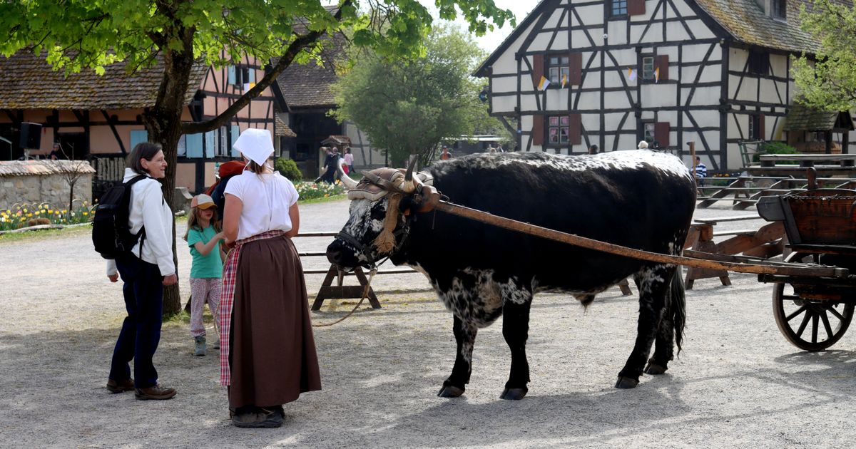 Architecture traditionnelle d’un village alsacien