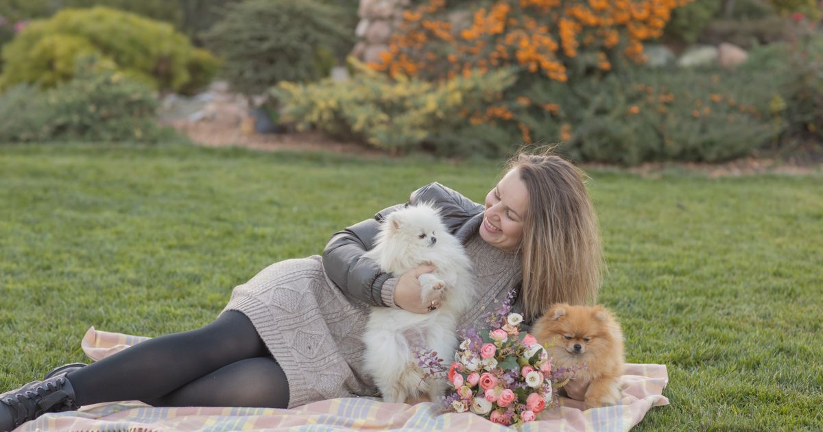 Propriétaire avec ses chiens dans un environnement naturel